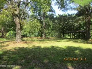 7625 Wheat Swamp Road, Lucama, NC 27851 – photo 11: 7625 Wheat Swamp yard1-4