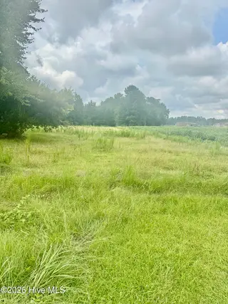 353 Best Road, Whiteville, NC 28472 – photo 10: IMG_1239