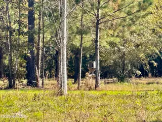 0 Near 4294 James B Wh, Whiteville, NC 28472 – photo 7: IMG_2775