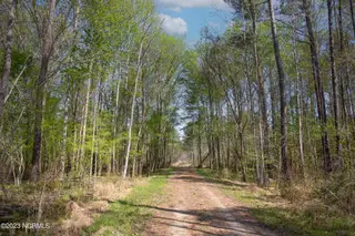 0 Nc-903, Stokes, NC 27884 – photo 13: Stokes Tract 24