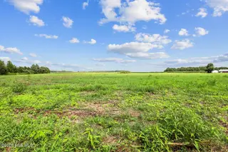 Lot 1 Waller Road, Mount Olive, NC 28365 – photo 12: 294 Waller Rd-4