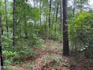 118 66 Ferret Run Lane, New Bern, NC 28562 – photo 5: IMG_7804