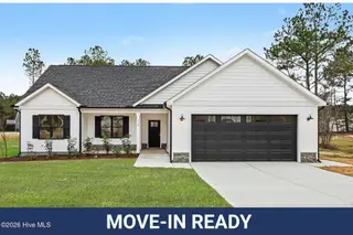 118 Prosecco Drive, Princeton, NC 27569 – photo 1: 000