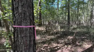 6033 Homestead Road, Elm City, NC 27822 — lot, Elm City, NC, photo 21 of 42: IMG_9319