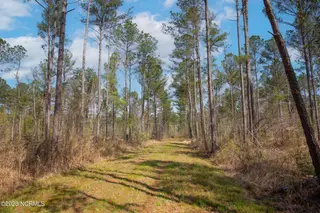 0 Nc-903, Stokes, NC 27884 – photo 21: Stokes Tract 17