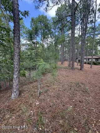 106 Parker Court, West End, NC 27376 – photo 2: 4