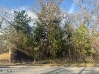002224 E Near 217 E Clay Street, Whiteville, NC 28472 – photo 1: IMG_5273