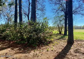 4803 Andrew Jackson Highway SW, Chadbourn, NC 28431 – photo 16: 20240808213602115823000000-o
