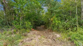 36ac Near 323 Indigo Flats Road W, Tabor City, NC 28463 – photo 6: 11-web-or-mls-Full11
