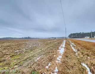 Tbd Ramsey Ford Road, Tabor City, NC 28463 – photo 7: 2