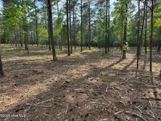 000 Tbd Lancaster Store Road Road, Spring Hope, NC 27882 – photo 5: Brown 3
