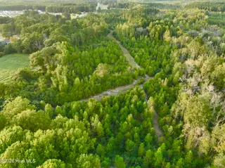 0 3 Princeton Kenly Road, Kenly, NC 27542 – photo 17: Photo Sep 21 2026, 12 22 33 PM