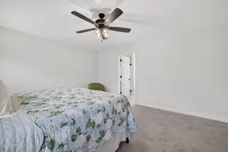 101 Pearce Street, Princeton, NC 27569 – photo 21: 28-web-or-mls-DSC07174