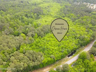 Tbd Murdocksville Road, West End, NC 27376 – photo 3: 1
