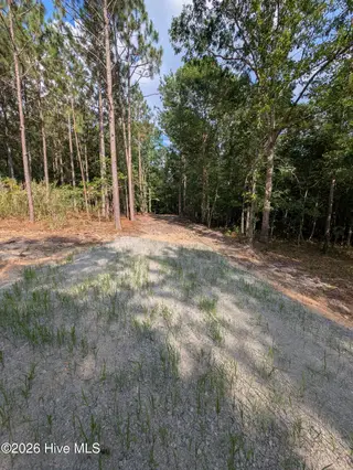 Tbd 2R-2 Peyton Drive, Eagle Springs, NC 27242 – photo 2: PXL_20260707_210139209.MP