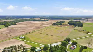 0 Buck Road, Vanceboro, NC 28586 – photo 6: 6-web-or-mls-DJI_0774