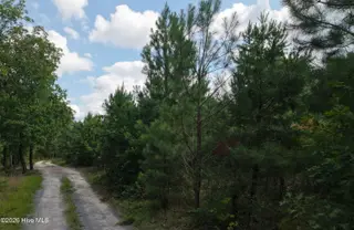 01581 Doubs Chapel Road, West End, NC 27376 – photo 11: off grid 5