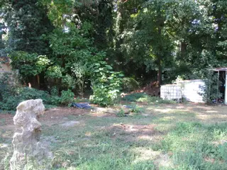 700 Jones Avenue, Kinston, NC 28501 – photo 18: IMG_1412