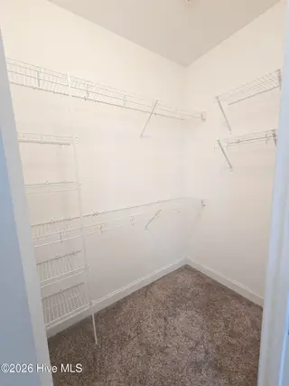 412 Moss Springs Drive, Peletier, NC 28584 – photo 15: Primary bath Walk in closet 1