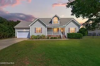 30 Herself Circle, Princeton, NC 27569 – photo 1: 1-web-or-mls-IMG_0055 - D2D