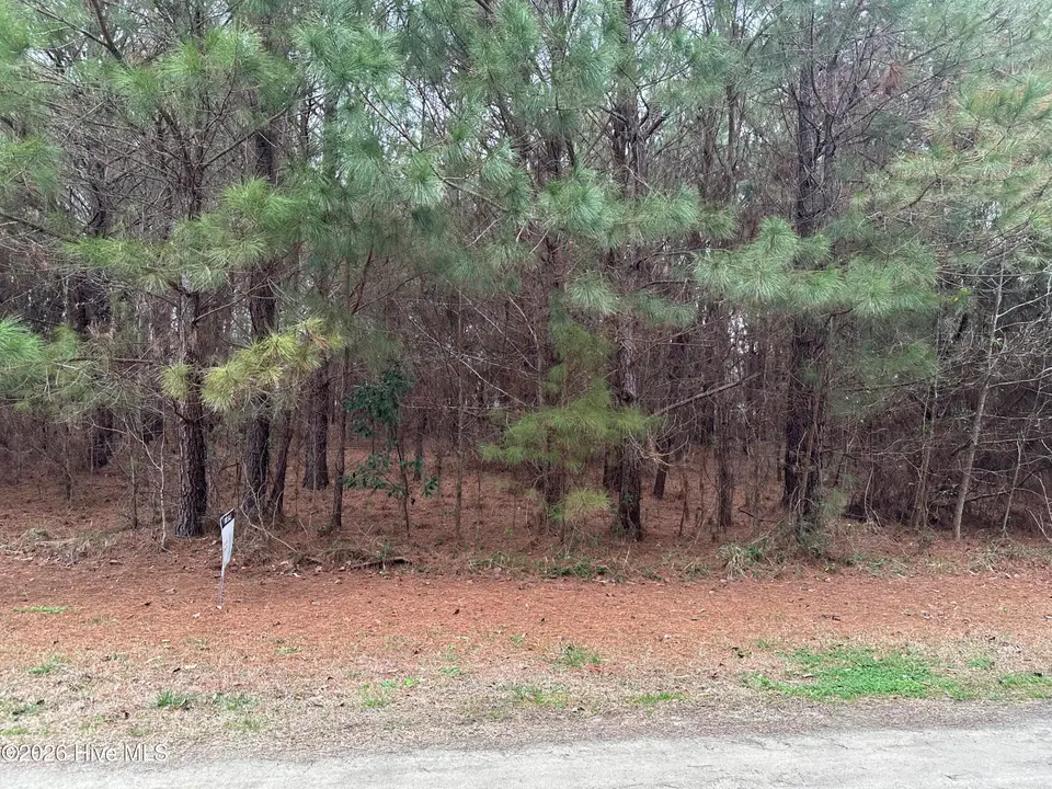 Near 51 Gores Drive, Clarendon, NC 28432 – photo 1 of 2: IMG_6369