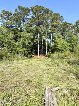 108 Dockside Drive, Jacksonville, NC 28546 – photo 10: IMG_5985