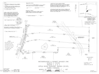 935 3 Mcgill Road, Vass, NC 28394 – photo 4: 3161 boundary and division map 16 April