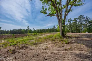 935 2 Mcgill Road, Vass, NC 28394 – photo 11: 935 MCGILL RE-EX-7