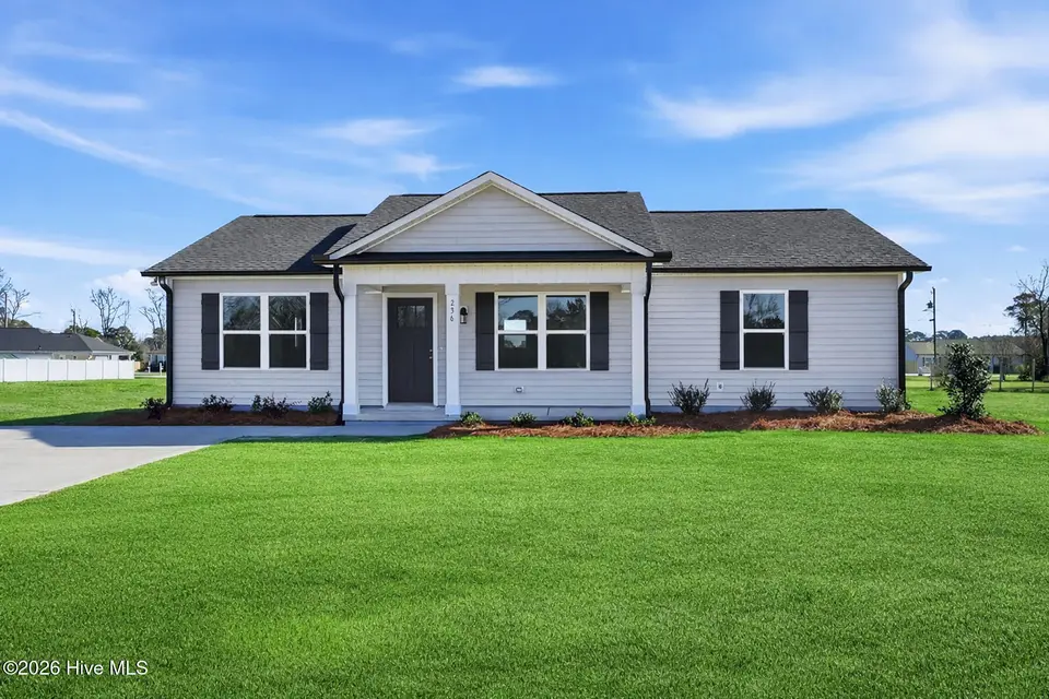 236 Rae Street, Warsaw, NC 28398 – photo 1 of 29: 236 Rea St-1 grass