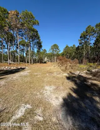 531 Eagle Road, Newport, NC 28570 – photo 5: Long Driveway