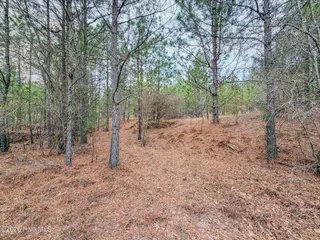 0 Lobelia Road, Vass, NC 28394 – photo 9: 17