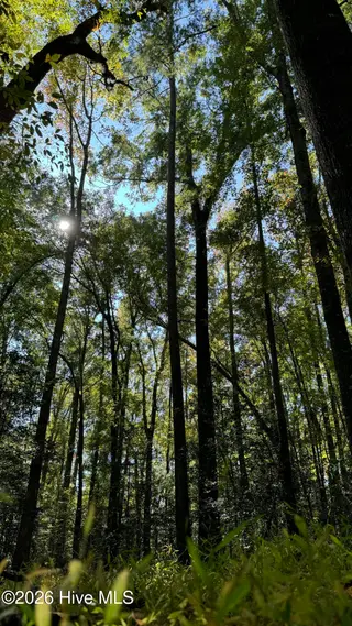 0 Union Church Road, Cameron, NC 28326 – photo 2: IMG_9920