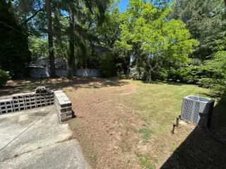 408 Rountree Street W, Wilson, NC 27893 – photo 5: Backyard