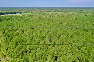 0 Bud Stephens Road, Evergreen, NC 28438 – photo 9: drone 7