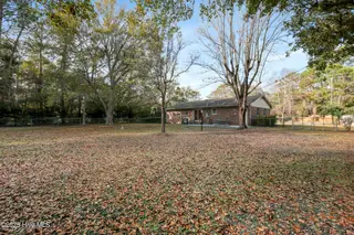 4641 Masonboro Loop Road, Wilmington, NC 28409 – photo 7: Lots of mature trees