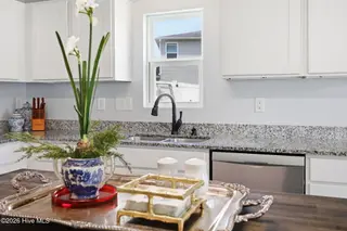 881 Ashbury Lane, Ayden, NC 28513 — 4-bedroom home in Ashbury, Ayden, NC, photo 18 of 43: Kitchen Detail