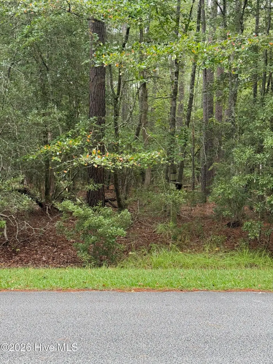 208 Pamlico River Drive, Washington, NC 27889 — lot in Pamlico Plantation, Washington, NC, photo 1 of 10: 001 Main View 208 Pamlico River Dr