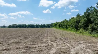 000 Oberry Road, Dudley, NC 28333 – photo 14: 0OberryRd-DudleyNC-14