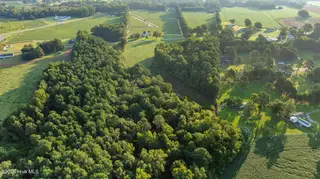 0 Old Smith Chapel Road, Mount Olive, NC 28365 – photo 9: DJI_0523