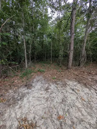2r-4 2R-4 Peyton Drive, Eagle Springs, NC 27242 – photo 7: PXL_20260707_210521032.MP