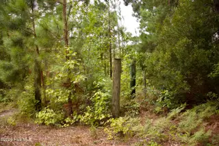 385 Sand Ridge Road, New Bern, NC 28560 – photo 20: IMG_4507