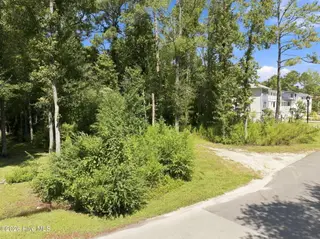 621 Vale Drive, Wilmington, NC 28411 – photo 9: 1-web-or-mls-DJI_20260909120418_0589_D