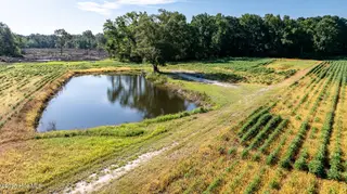 10455 Us Hwy 701 Highway, Newton Grove, NC 28366 – photo 16: 10455-15