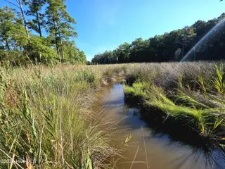 Carolina Shores, Bath – photo 16: 1000032919
