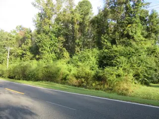 Near 1671 Old Wilmington Road, Whiteville, NC 28472 – photo 2: IMG_4591