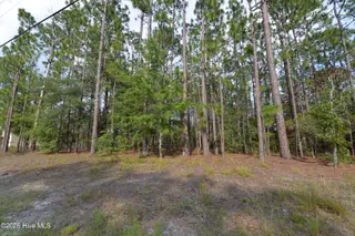 873 & 881 49, Southport, NC 28461 — lot in Boiling Spring Lakes, Southport, NC, photo 1 of 4