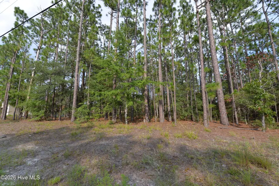 873 & 881 49, Southport, NC 28461 — lot in Boiling Spring Lakes, Southport, NC, photo 1 of 4