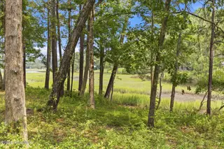 813 Gull Point Road, Wilmington, NC 28405 — lot in Landfall, Wilmington, NC, photo 14 of 20