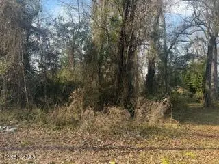 002224 E Near 217 E Clay Street, Whiteville, NC 28472 – photo 2: IMG_5282