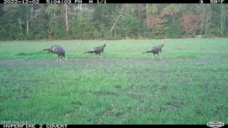 Off Swamp Fox Hwy Highway E, Tabor City, NC 28463 – photo 8: Copy of 5.6